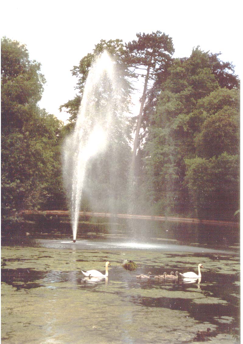 Bourne Hall Lake 