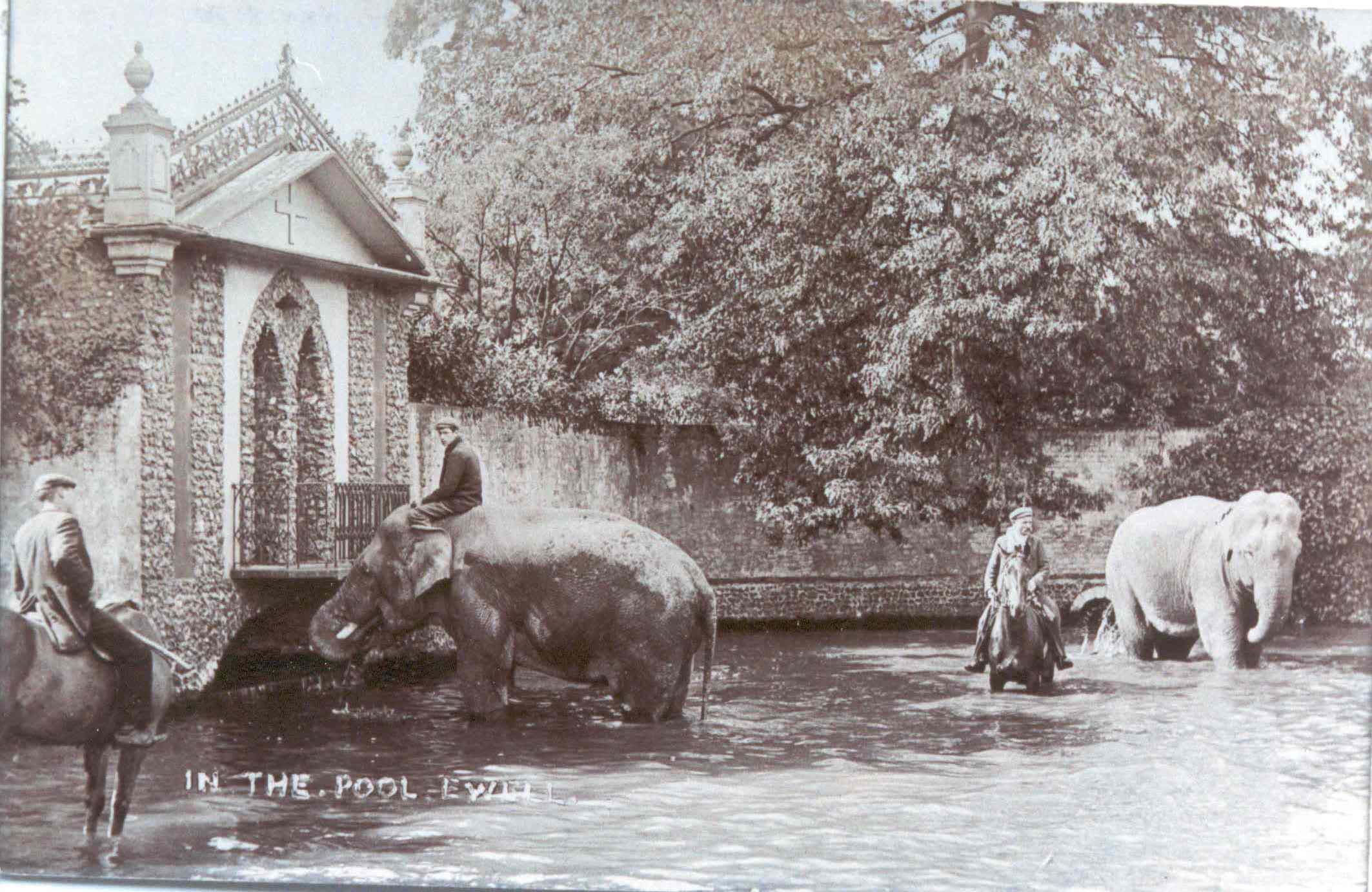 The Horse Pond Ewell