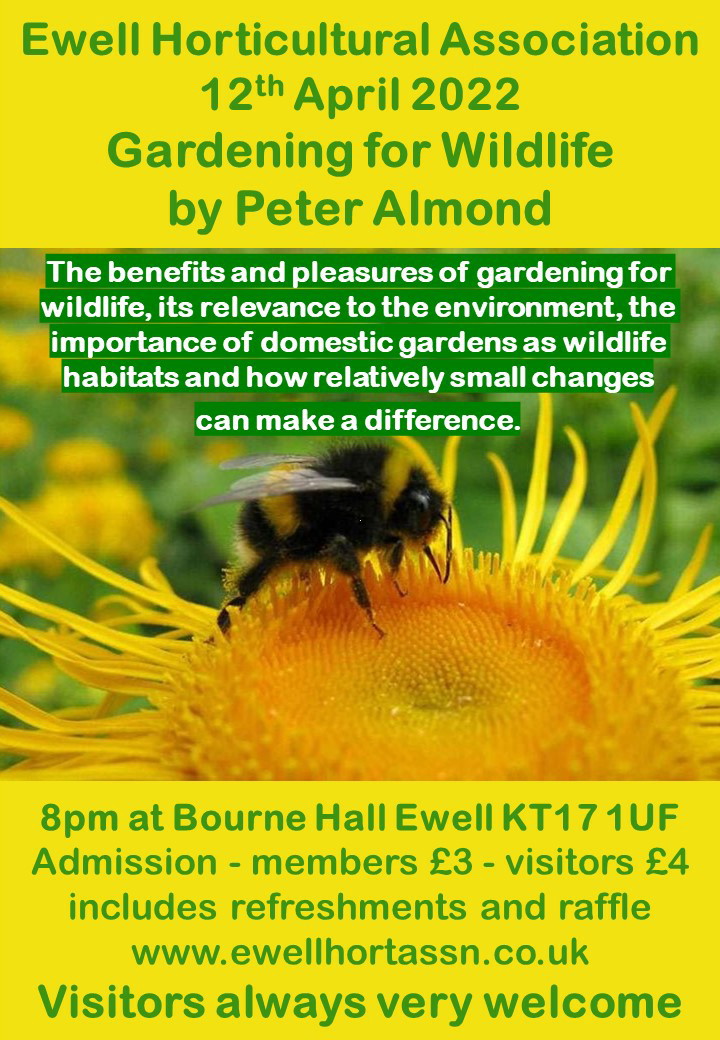 Attracting beneficial wildlife to your garden Gardening for Wildlife.