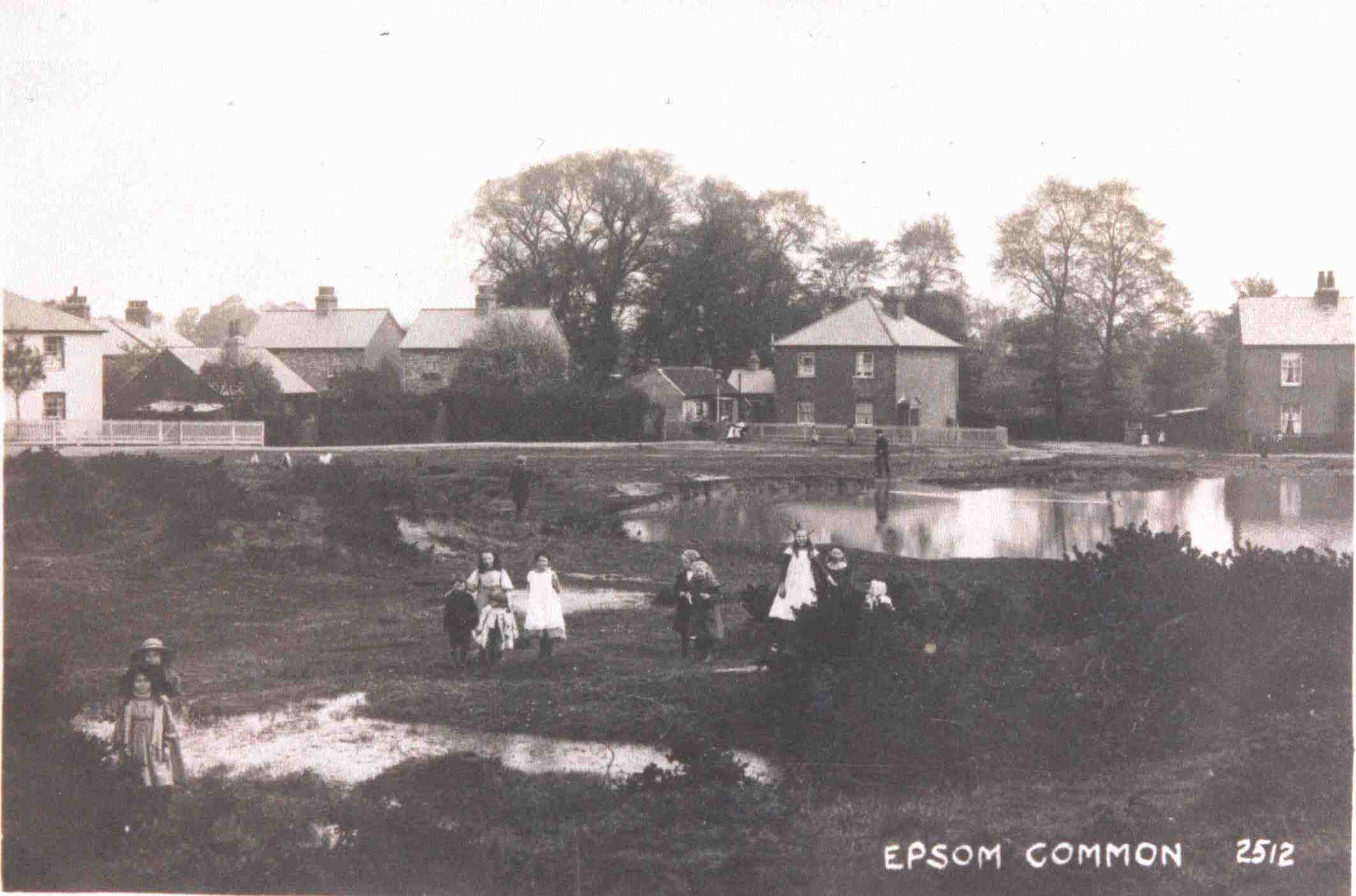 Epsom Common