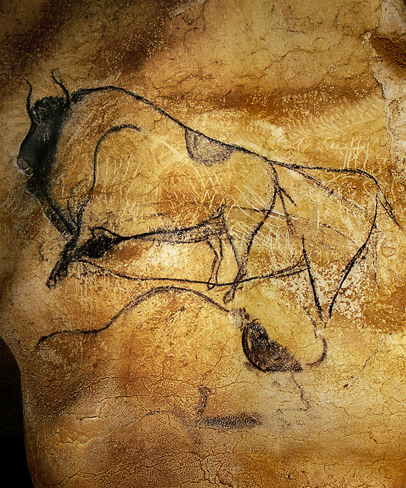 Cave painting of Bison