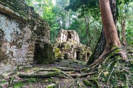 Lost Maya civilisation.