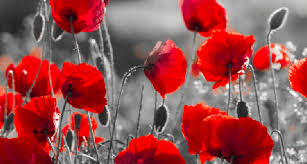 We will remember them. We will remember them.